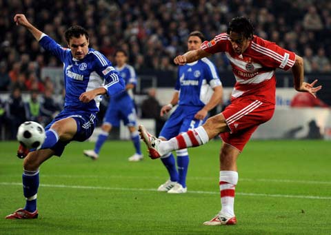 仅能够证明 仅能够证明